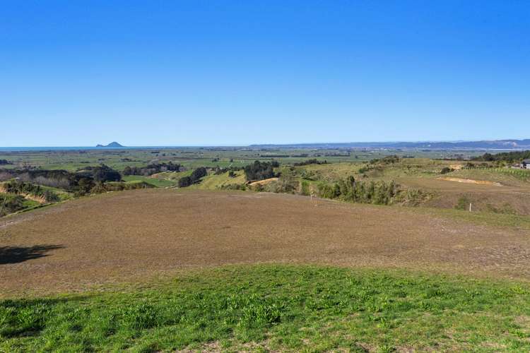 230 Withy Road Matata_18