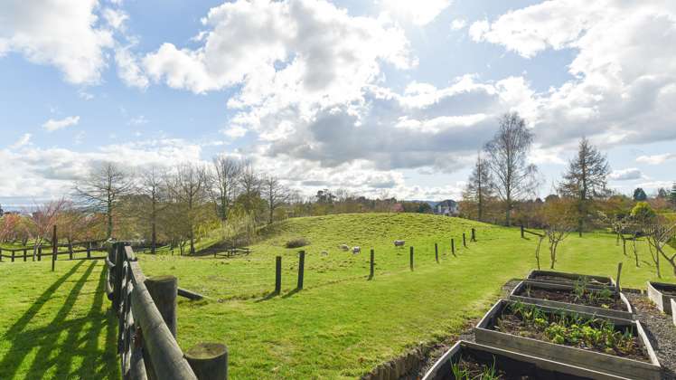 11 Essendon Place Tikitere_17