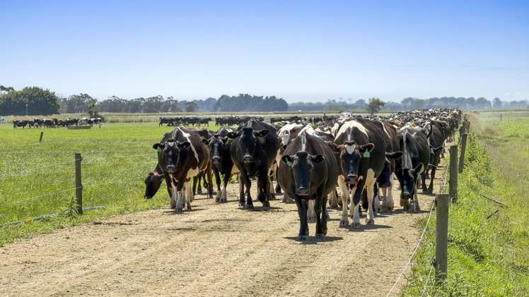 Generational Opportunities Palmerston North_23