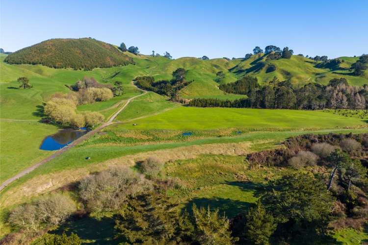 1038 Te Kopia Road Waikite Valley_16