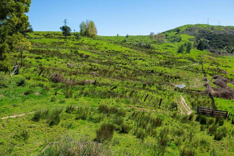 150 Waiomoko Road Whangara_25