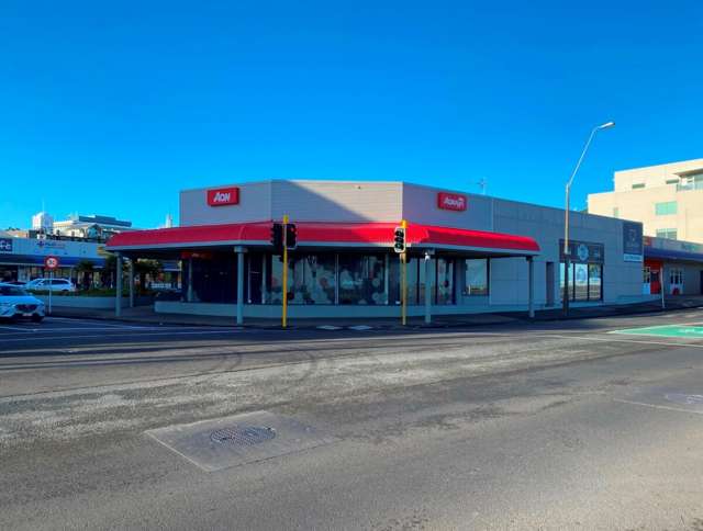 8 Egmont Street New Plymouth_2