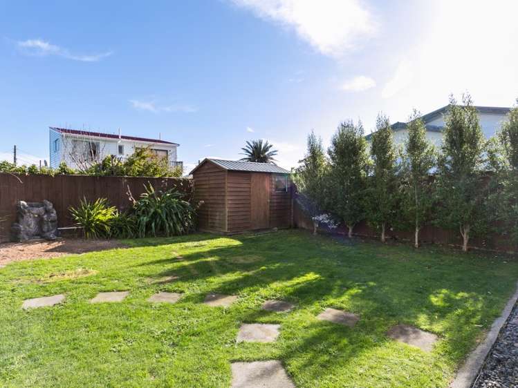 57 Devonshire Road Miramar_12