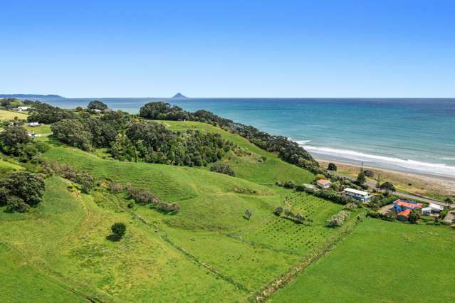 59 Pohutukawa Drive Opotiki and Surrounds_1