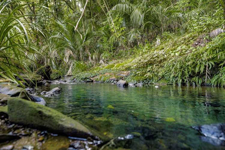 362a Tara Road Mangawhai_28