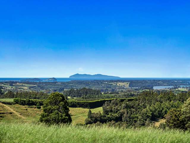 348D Rea Road Katikati_1