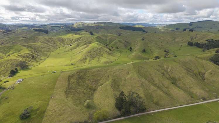 344 North Road Masterton_19