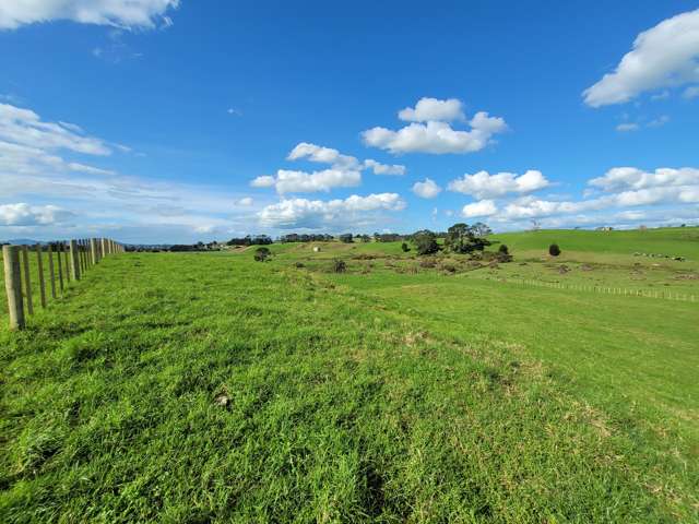 Lot 1 110 Colville Road Dargaville_2