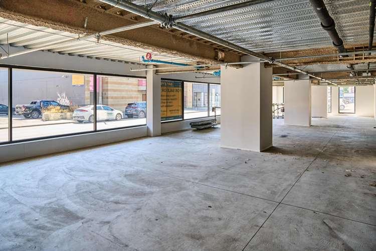 2/81 Vivian Street Te Aro_5