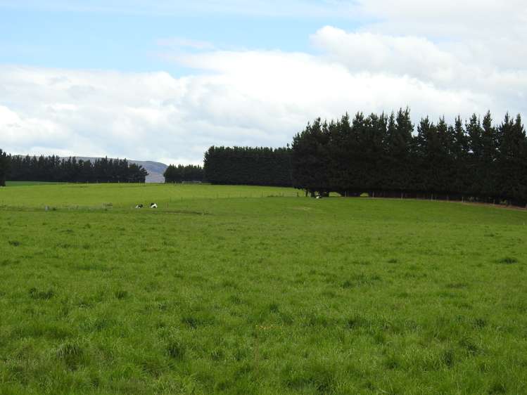 162 Longridge Village Road Gore Surrounds_15