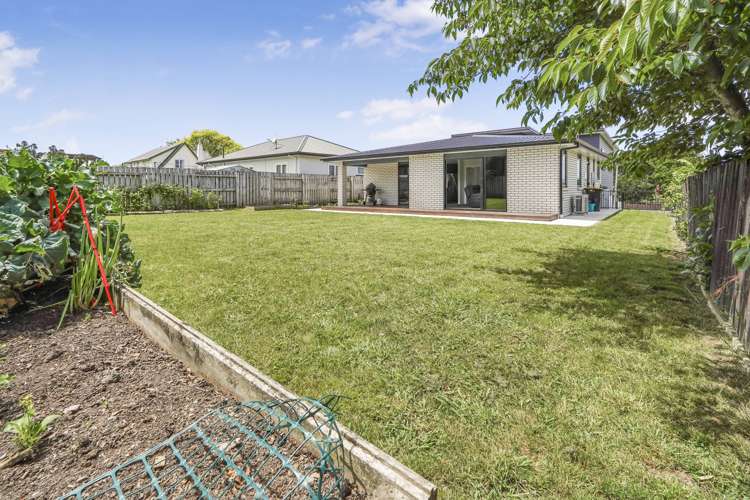 18b Turnbull Crescent Morrinsville_28
