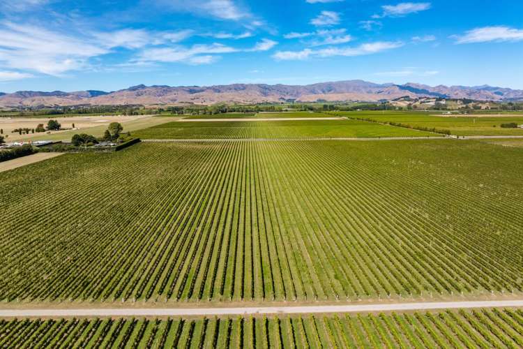 1 Wairau Plains Renwick_21