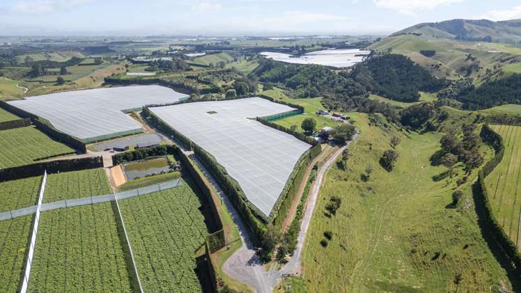 152A Stockton Road Pukehina_25