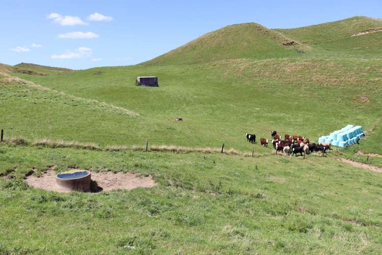 102 Manu Road Te Popo_28