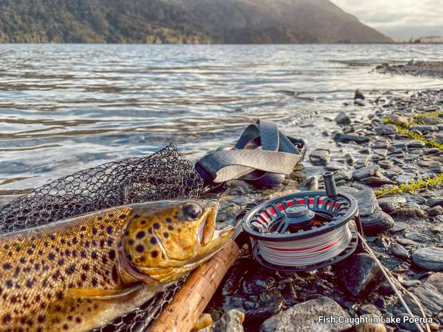 2237 Lake Brunner Road (lots 1,3,6,) Inchbonnie_4