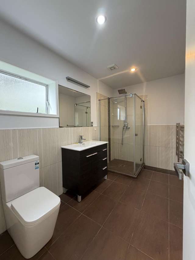 3 Katavich Place Mount Roskill_3