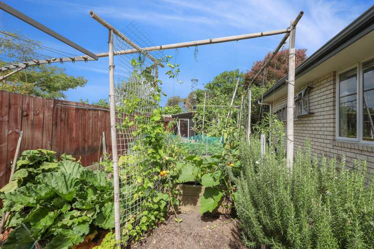 4 Herons Lane Mangawhai_20