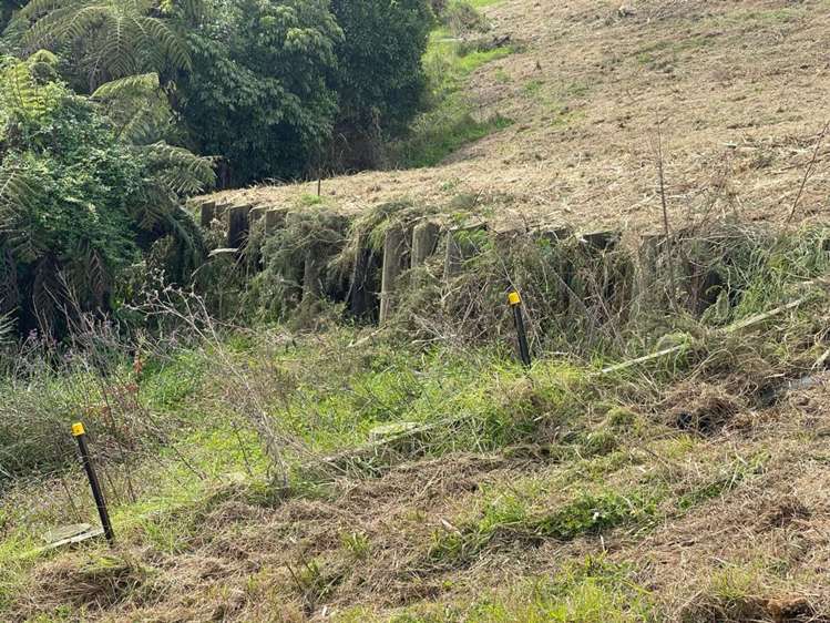 1 Kaimai Avenue Massey_10