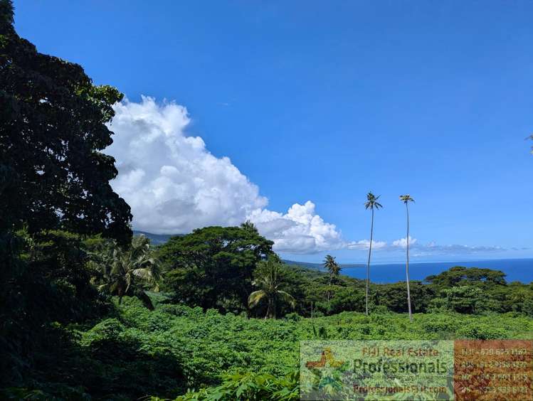 Address withheld Taveuni_20