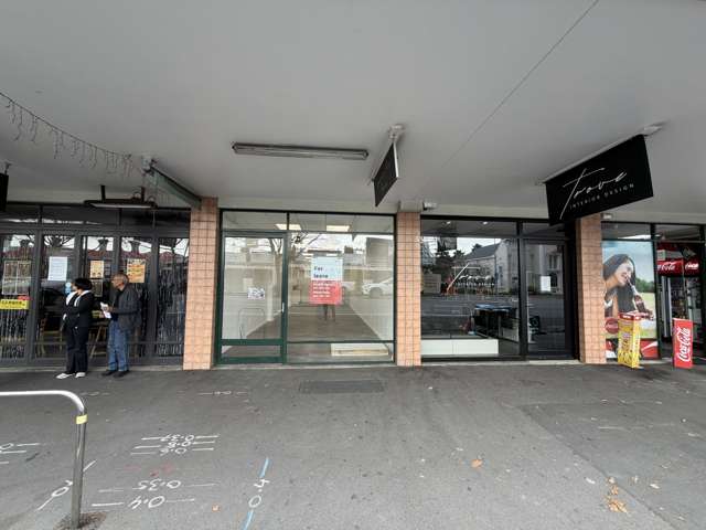 Ground/40 Jervois Road Ponsonby_2