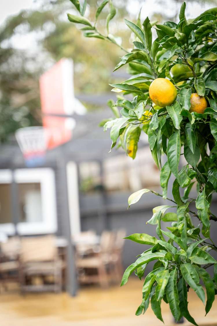 64 Wallace Terrace Te Awamutu_20