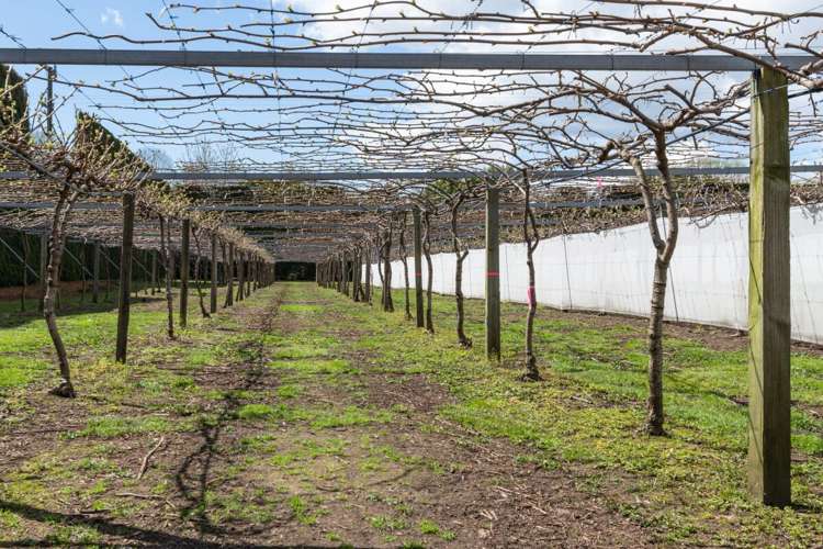 154b Wairoa Road Te Puna_7