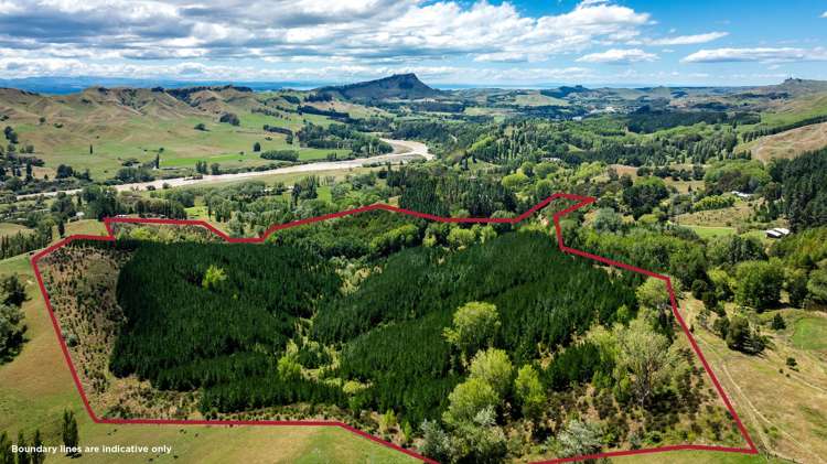 Lot 2, DP 524856, Raratu Road Kahuranaki_0