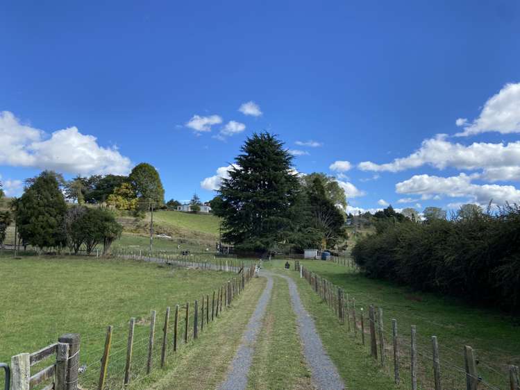 5 Tapapa Road Tapapa_19