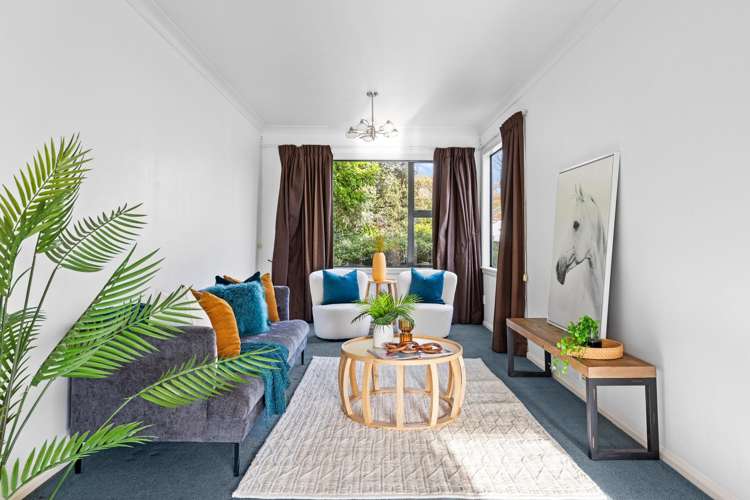 49 Haydon Street Roslyn_3