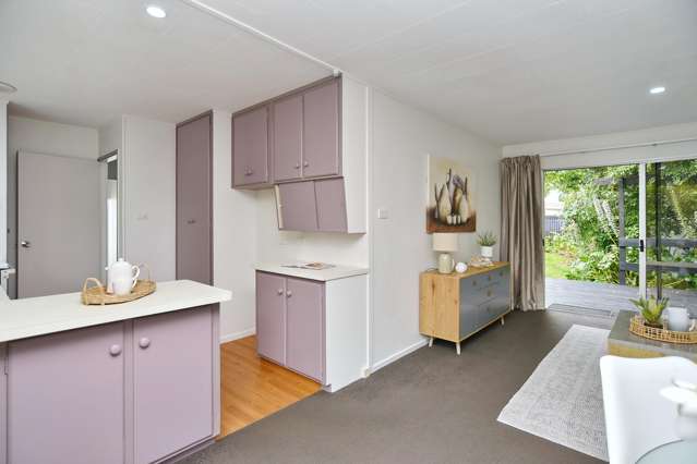 17 Wanstead Place Woolston_4