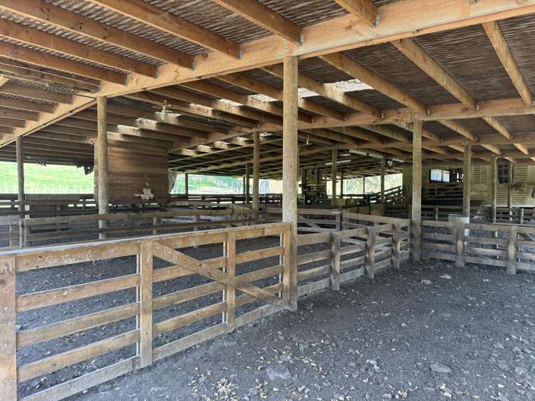 637 Makakahi Road Ruatiti_6