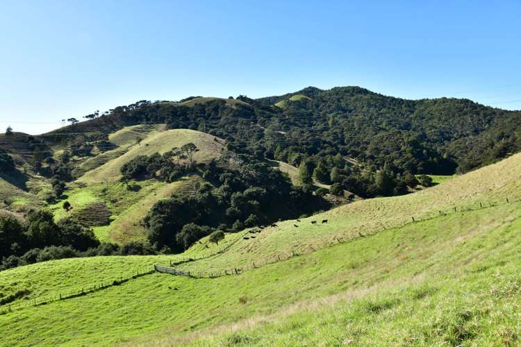 3356 Kaipara Coast Highway Glorit_36