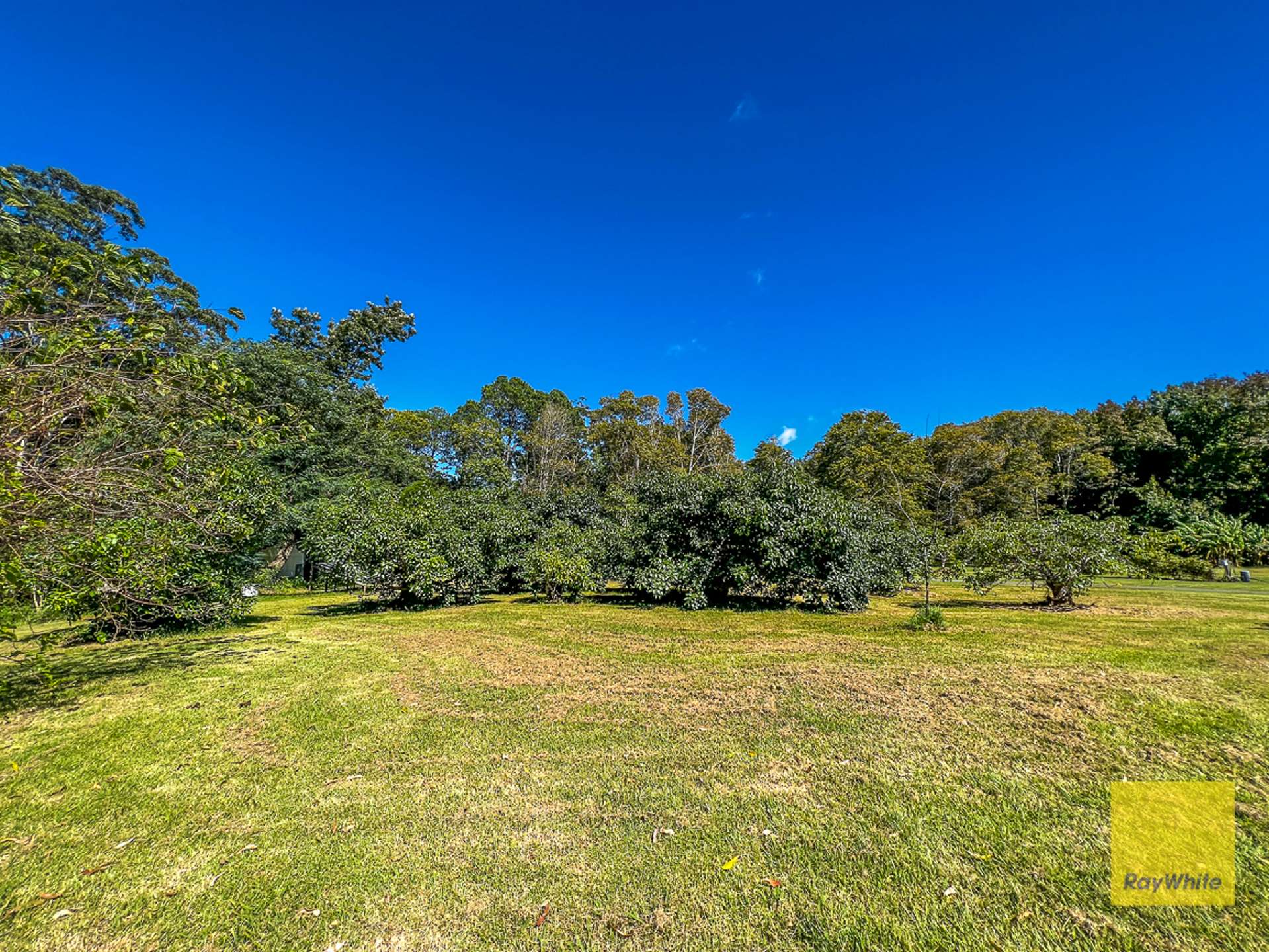 328 Long Road Tamborine Mountain_0