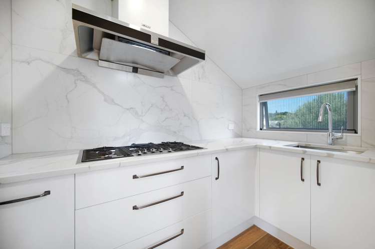 Abbotts Way Remuera_14