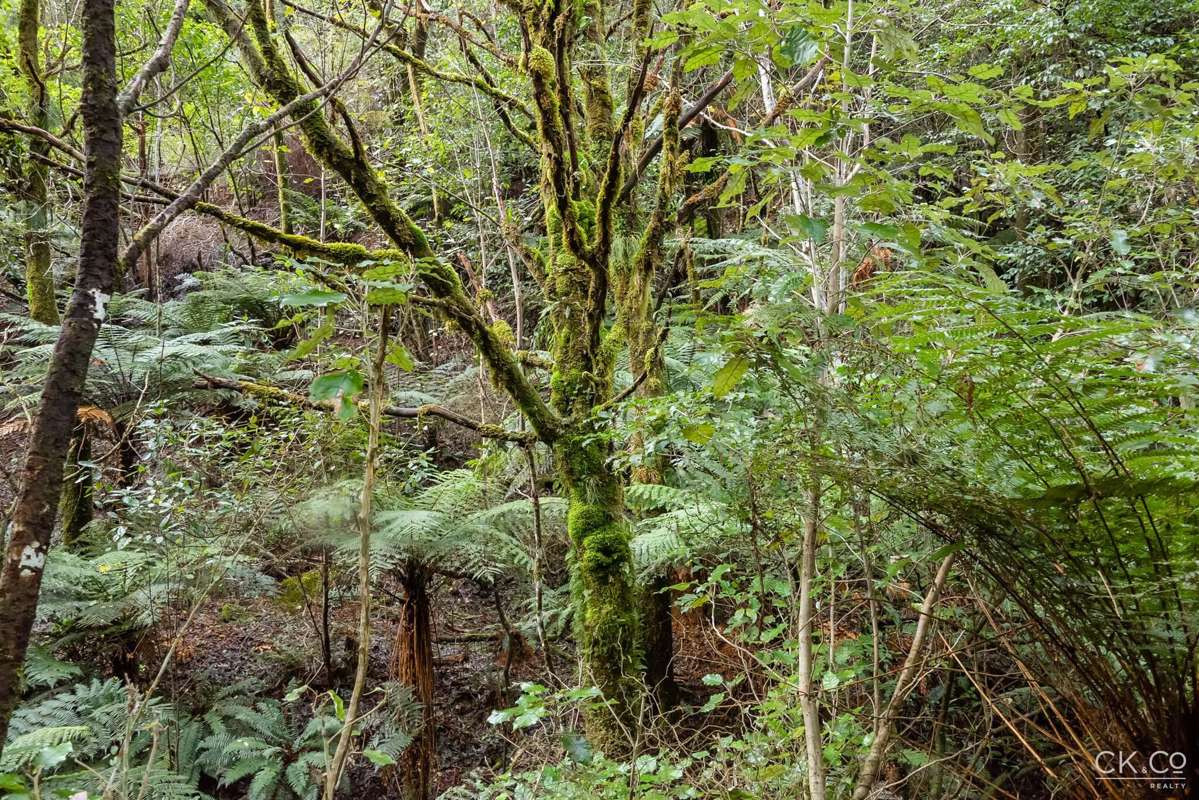 Zero Akatarawa Road_5