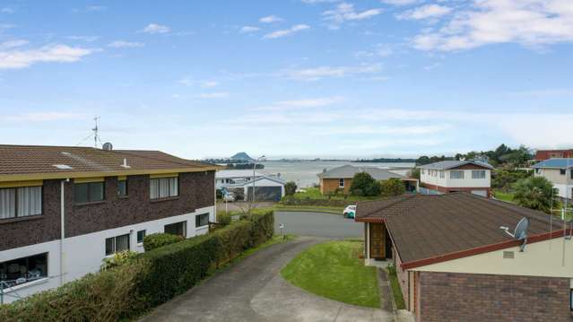 54 Tutauanui Crescent Maungatapu_2