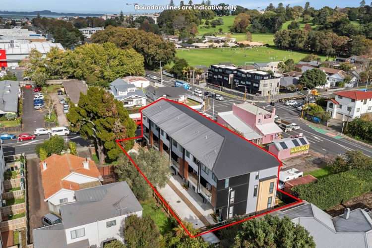 672C Mt Albert Road_1
