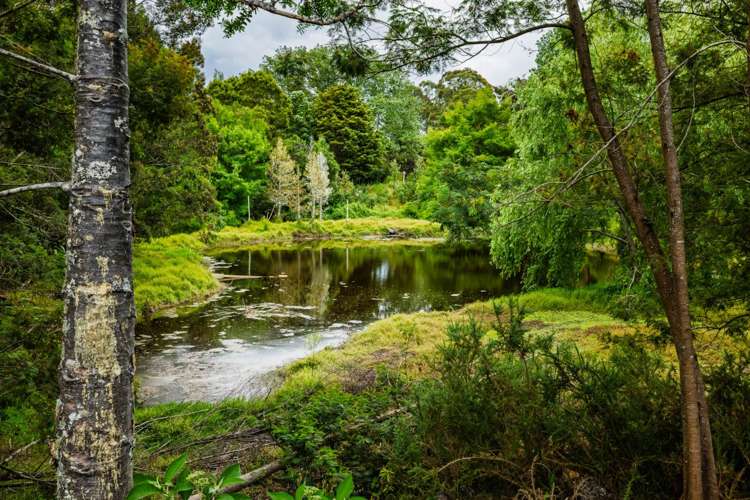 Lot 2/44 Hauparua Lane Kerikeri_12