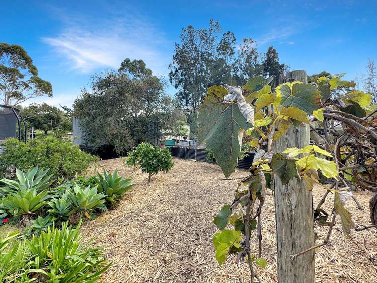 1174 Te Ahu Ahu Road Kerikeri_18