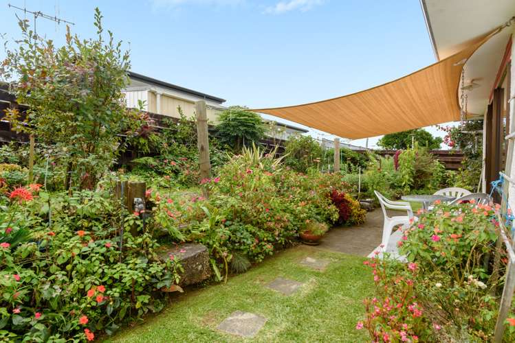 72b Otumoetai Road Judea_17