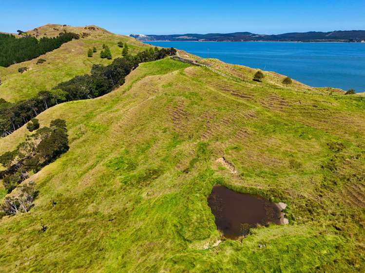 Brindle Road Opononi_11