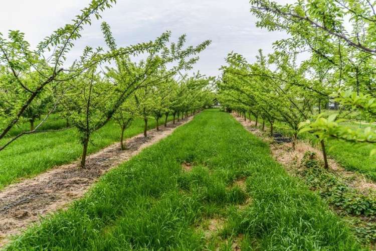 147 Thompson Road Twyford_14