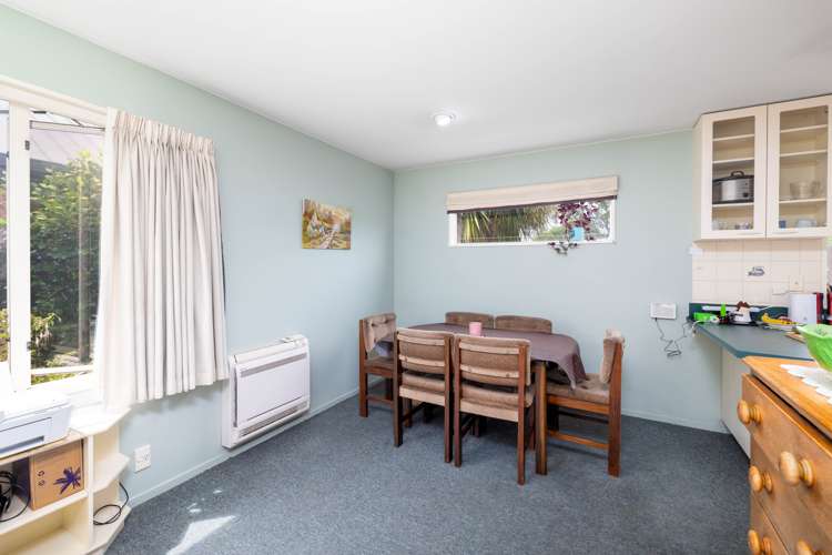 17 Mcleish Lane Spreydon_8