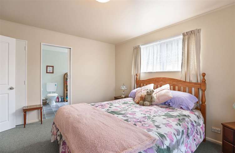 65 Nixon Street Tinwald_9