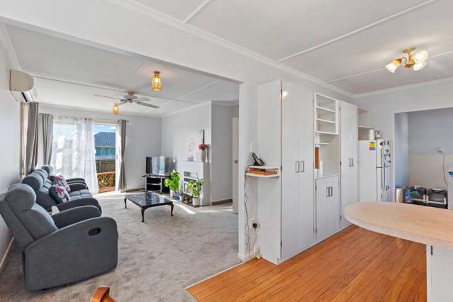 39 Winchester Street Levin_2