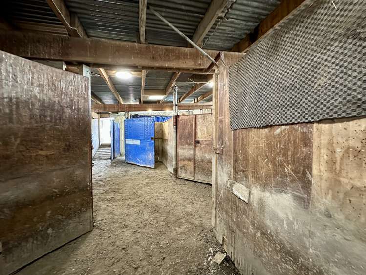 8 Humphries Road Waimumu_9