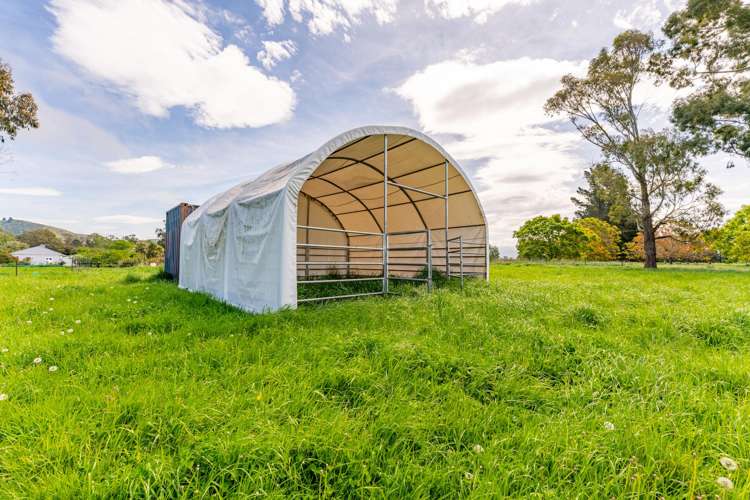 54 Studholme Settlement Road_4