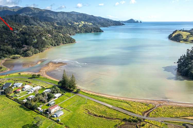 1447A Port Charles Road Coromandel_15