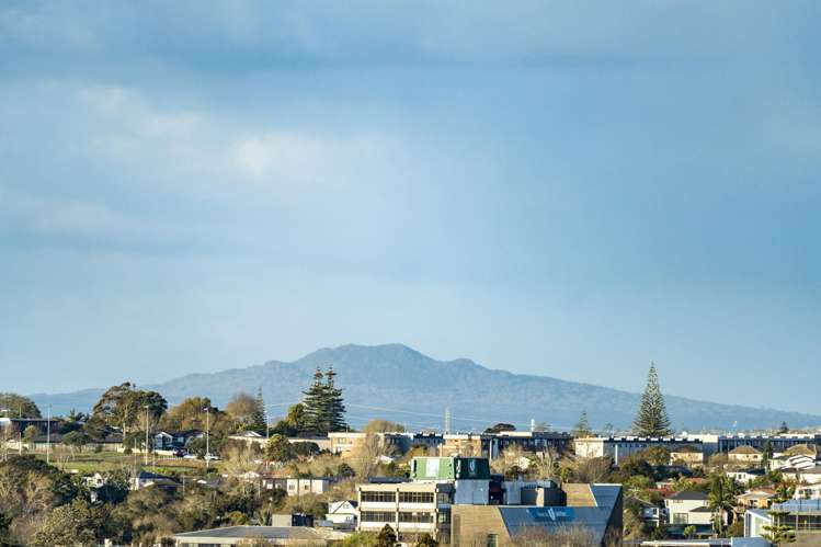 81 Spence Road Henderson_5