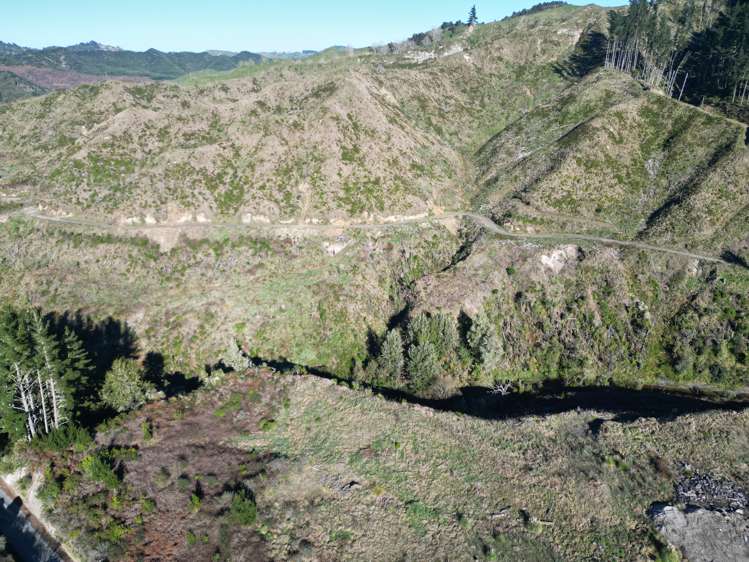 Cnr Whanganui River Road and Otunui South Road Taumarunui_5